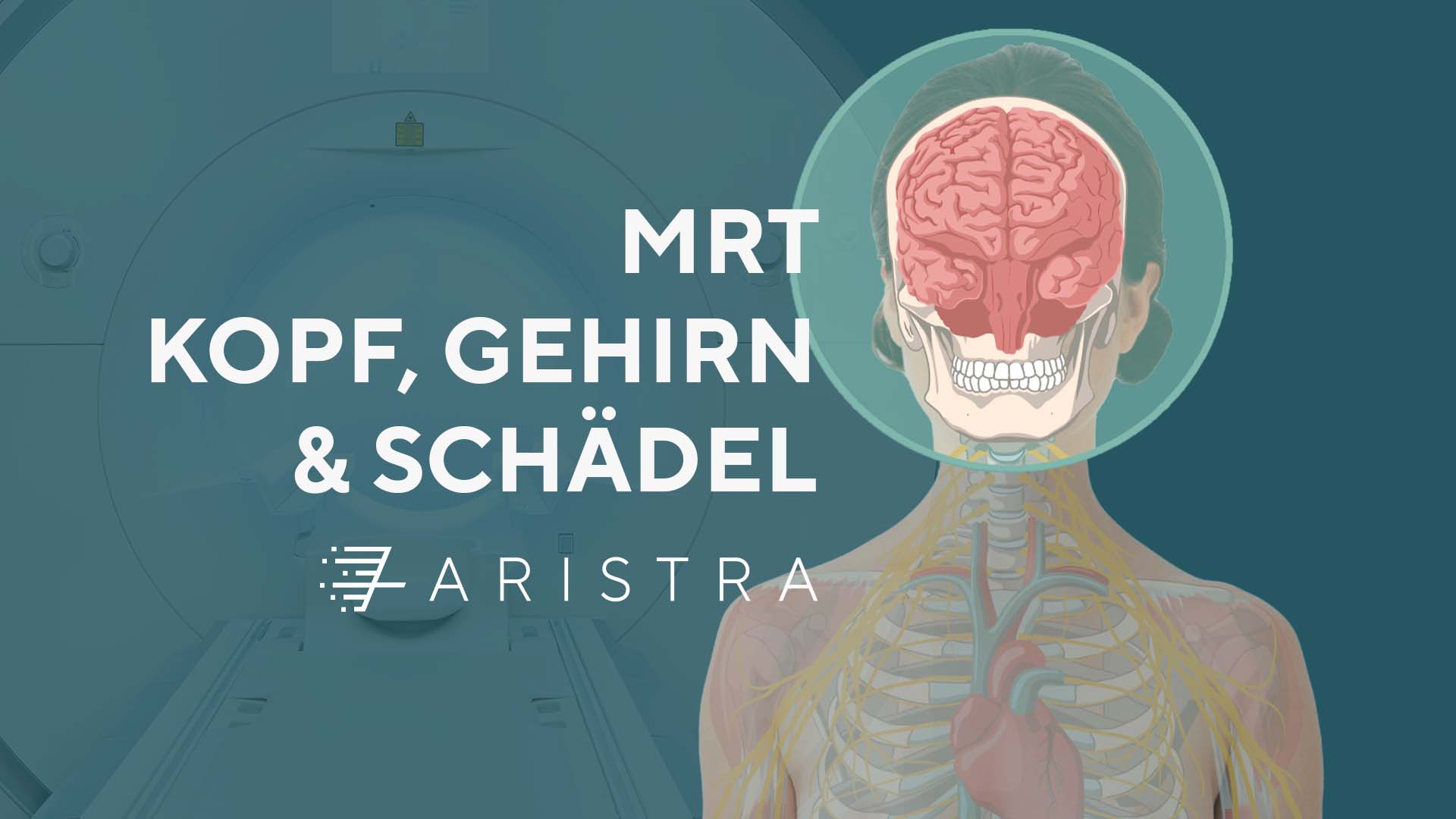 MRT Kopf, Gehirn & Schädel Abbildung