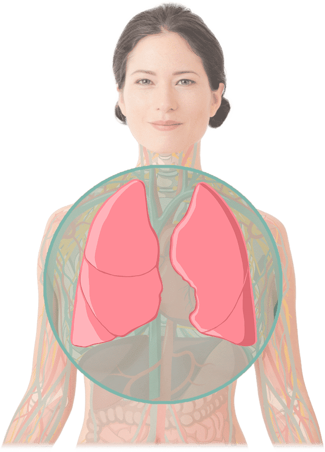 MRT Lunge bei ARISTRA Illustration